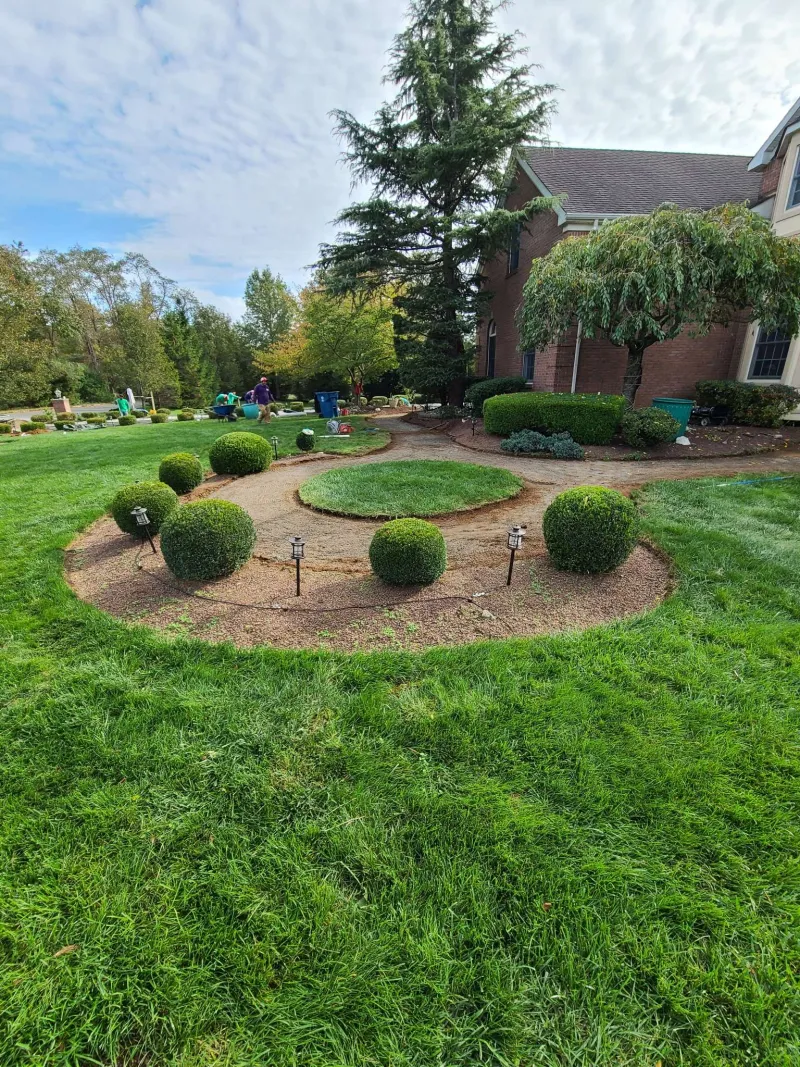 Front yard landscaping before