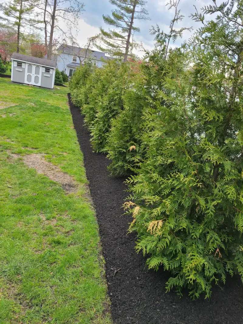 Mulch and edging landscape work