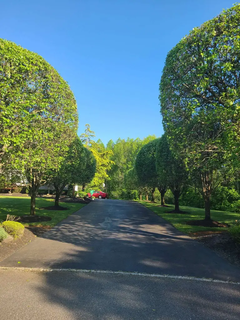 Driveway Border Landscaping Monmouth County NJ