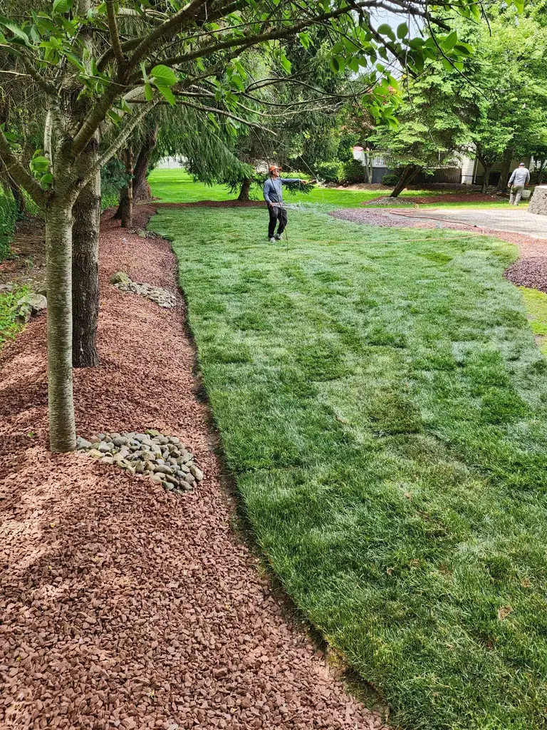 Tree Planting And Red-Stone Monmouth County NJ